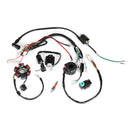 50CC-125CC Mini ATV Complete Wiring Harness CDI STATOR 6 Coil Pole Ignition Electric