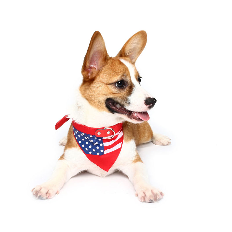 Yani HG-PLJ1 Pet Dog American Flag Collar Pet PU Canvas Decorative Cool Collar