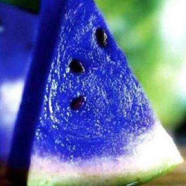 20Pcs Watermelon Multi-color Flesh Magic Garden Seeds Summer Cool Fruit Garden Farm Landscape