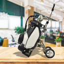 Mini Golf Bag Appearance Pen Holder with Golf Club Putter Ballpoint Pen Golfers Gift Box Set Desktop Deco for Office School Supplies Stationery