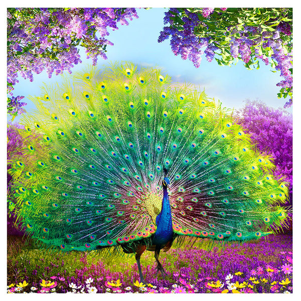 5D DIY Cross Stitch Decorations Diamond Embroidery Peacock Opens Screen Painting
