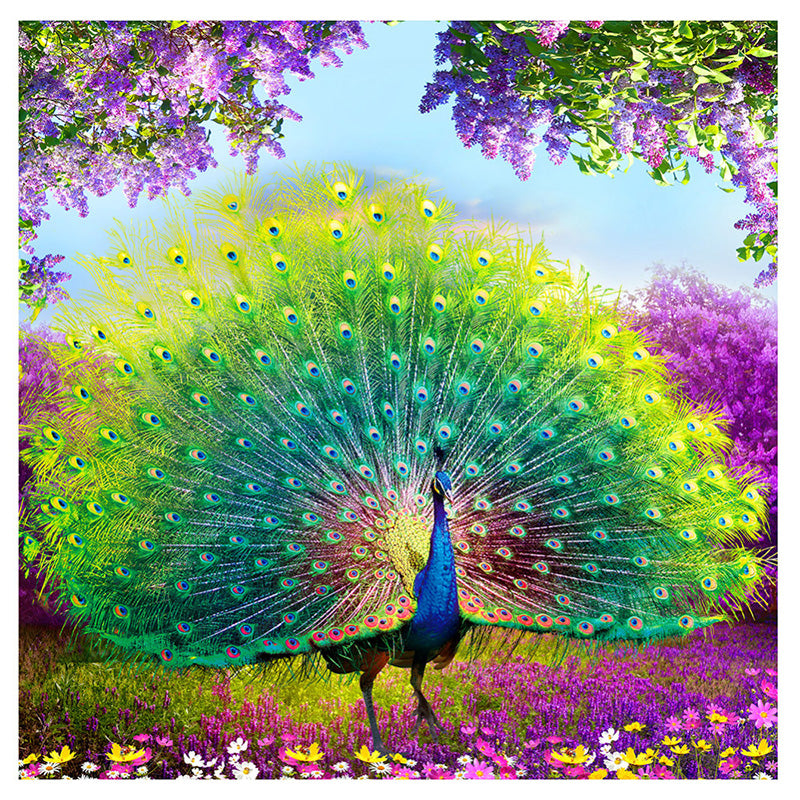 5D DIY Cross Stitch Decorations Diamond Embroidery Peacock Opens Screen Painting