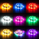 5M 50 LED Copper Wire Christmas Outdoor String Fairy Light DC12V