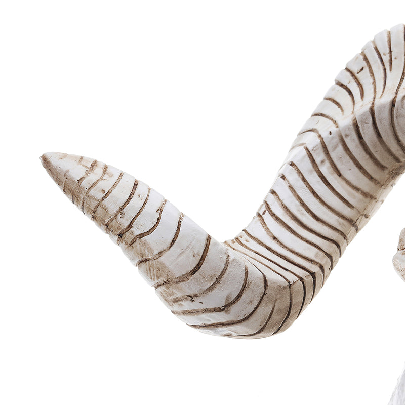 Skull Sheep Head Realistic Animal Resin Wall Art Sculpture Wall Hanging Decorations