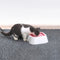 Dog Water Bowl Pet Floating Bowl Anti Splashing Not Wetting Mouth Portable Vehicle Carried Floating Bowl Cat Water Bowl  Anti-slip Pet Bowl