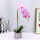 Artificial Plant Butterfly Orchid Flower Pot Home Wedding Party Home Decorations