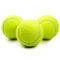 Yani DCT-2 Squishy Giant Tennis Ball Dog Toy Chewing Sport Outdoor Game Throw Run Fetch 24CM