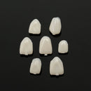 2 packs Dental Temporary Crown Material for Anterior + Molar Teeth Veneers