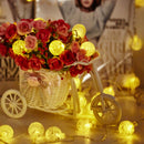 KCASA 2M 20 LED Bubble Ball String Lights LED Fairy Lights for Festival Christmas Halloween