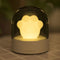 3Life 006 Creative Cat Paw Musical Night Light USB Charging LED Night Light Built In Music Player Remote Control Bedroom Table Lamps From Xiaomi Youpin