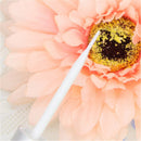 5g Double Eyelid False Eyelashes Glue Lash Adhesive Eye Makeup Tool