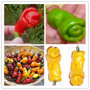 Egrow 100Pcs/Pack Chili Seeds Red Green Yellow Peppers Funny Kitchen Seasoners Plants Seeds