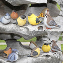 6pcs Little Bird Set Detailed Resin Garden Ornaments Decorations Patio Door Pond