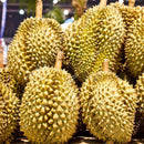 Egrow 5Pcs/Bag Durian Tree Seeds Delicious King Of Fruit Seeds High-nutrition Rare Bonsai Seeds