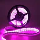 5M 5050 SMD RGB 300 LED Strip Light Waterproof IP65 12V DC