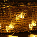 Battery Powered 1M 2M 5M Transparent Unicorn LED String Light  Wedding Holiday Christmas Decor IP65