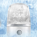 30ML Nano Facial Mister Sprayer Face Moisturizing Atomization Skin Care Machine Humidifier