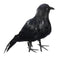 Raven Halloween Party Crow Bird Decorations Prop Stuffed Feather Blackbird Decor
