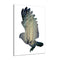 Miico Hand Painted Oil Paintings Simple Style-A Flying Owl Wall Art For Home Decoration Painting
