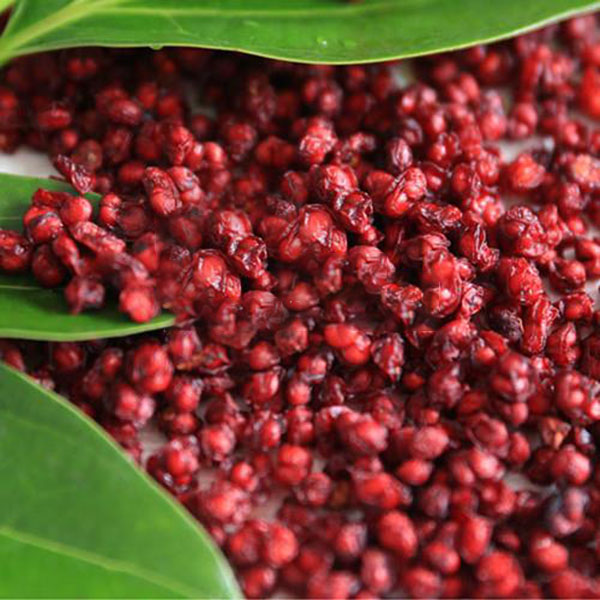 Egrow 100Pcs/Pack Schisandra Seeds Chinese Magnolia Vine Edible Garden Fruit Tree Seed DIY Plants