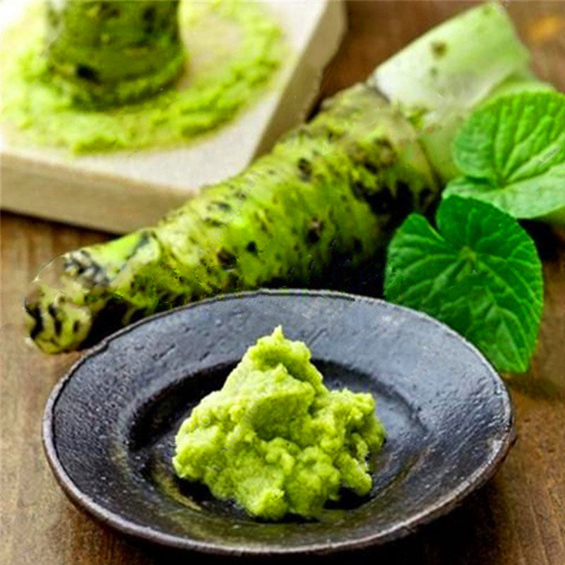Egrow 300Pcs/Pack Wasabi Seeds Mustard Horseradish Wasabi Vegetable Home Gardening Planting For Perennials Hardy