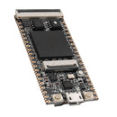 Lichee Tang 64Mbit SDRAM RISC-V Development Board Mini PC + FT2232D JTAG USB RV Debugger