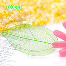 Natural Magnolia Skeleton Leaf Leaves Card Making Scrapbooking Embellishments Craft Supplies Green Pack Of 50PCS