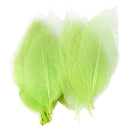 Natural Magnolia Skeleton Leaf Leaves Card Making Scrapbooking Embellishments Craft Supplies Green Pack Of 50PCS