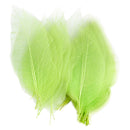 Natural Magnolia Skeleton Leaf Leaves Card Making Scrapbooking Embellishments Craft Supplies Green Pack Of 50PCS