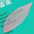 50Pcs Natural Catbrier Skeleton Leaf Leaves Card Scrapbook - Pink