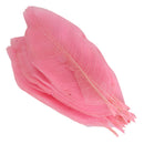50Pcs Natural Catbrier Skeleton Leaf Leaves Card Scrapbook - Pink
