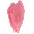 50Pcs Natural Catbrier Skeleton Leaf Leaves Card Scrapbook - Pink