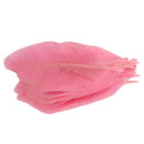 50Pcs Natural Catbrier Skeleton Leaf Leaves Card Scrapbook - Pink