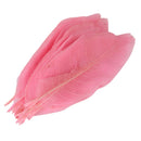 50Pcs Natural Catbrier Skeleton Leaf Leaves Card Scrapbook - Pink