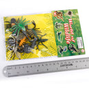 Hard Plastic 12 Pieces Various Insect Animals Model Colorful Display Figures Kid Toys Tools Funny Education