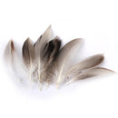 WHOLESALE 9-13cm Duck Feathers for PARTY MASK MAKING 20PCS