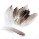 WHOLESALE 9-13cm Duck Feathers for PARTY MASK MAKING 20PCS