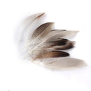WHOLESALE 9-13cm Duck Feathers for PARTY MASK MAKING 20PCS