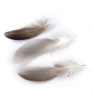 WHOLESALE 9-13cm Duck Feathers for PARTY MASK MAKING 20PCS