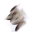 WHOLESALE 9-13cm Duck Feathers for PARTY MASK MAKING 20PCS