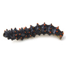 Set of 12pcs Mixed Plastic Vivid Twisty Worm Model Colorful Funny Pretend Trick Toys