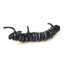 Set of 12pcs Mixed Plastic Vivid Twisty Worm Model Colorful Funny Pretend Trick Toys