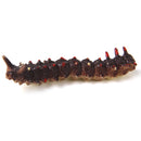 Set of 12pcs Mixed Plastic Vivid Twisty Worm Model Colorful Funny Pretend Trick Toys