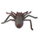 Plastic PVC Spider Model Kids Toy 12pcs Multi-color