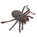 Plastic PVC Spider Model Kids Toy 12pcs Multi-color
