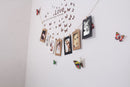 10x Paper Photo Picture Frame Wall Hanging Album 6 Inch With Rope Clips