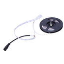 5M LED Strip, SMD 3528 with 300 LEDs, Cold White 6000K, DC 12V, Non Waterpr P3T8