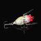 Cicada 6g Perch Insect Lure Bait Fishing Lifelike Bait with Hooks