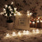 KCASA 5M 50 LED Sakura Flower String Lights LED Fairy Lights for Festival Christmas Halloween
