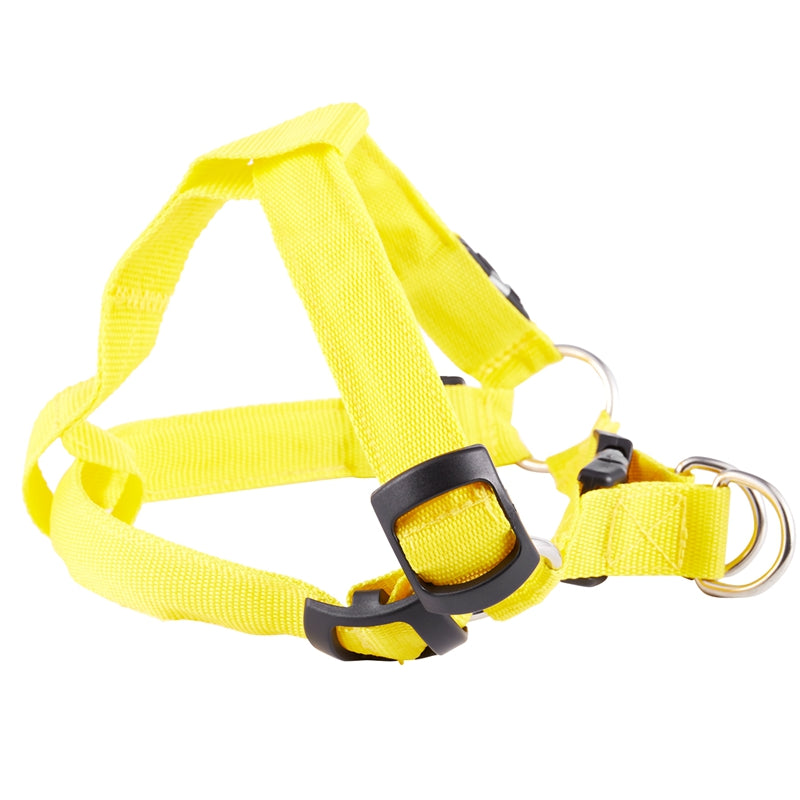 LED Nylon Collar Led Glow Flash Light Dog Puppy Belt Harness Leash Tether P U5Q1